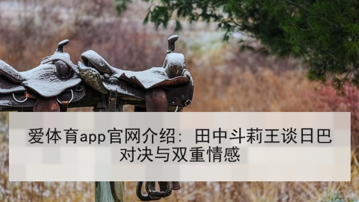 爱体育app官网介绍: 田中斗莉王谈日巴对决与双重情感