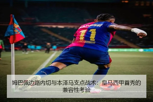 mu-ba-pei-bian-lu-nei-qie-yu-ben-ze-ma-zhi-dian-zhan-shu-huang-ma-xi-jia-shou-xiu-de-jian-rong-xing-kao-yan-3-903.jpg