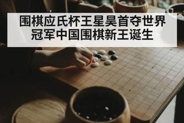 young Chinese Go player