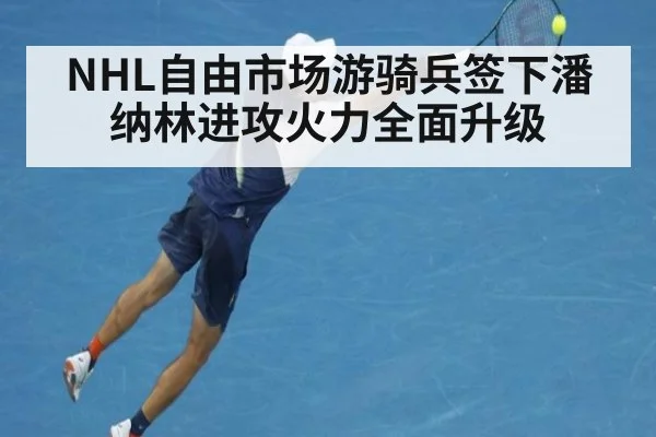 NHL自由市场游骑兵签下潘纳林进攻火力全面升级